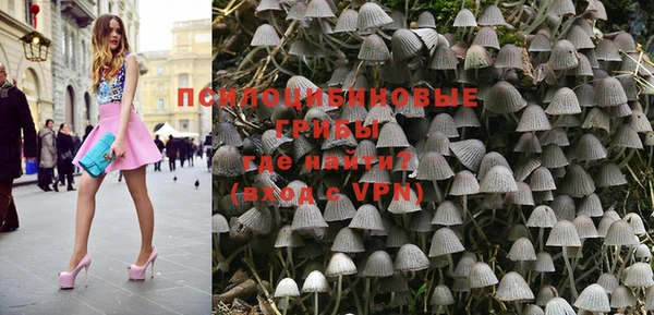 mdpv Переславль-Залесский