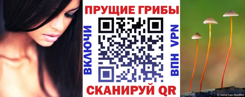 Галлюциногенные грибы мицелий  ОМГ ОМГ маркетплейс  Кизляр 